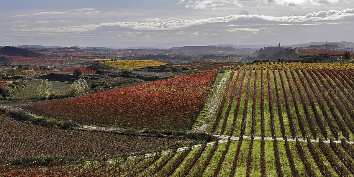 Ruta del Vino Rioja Alta